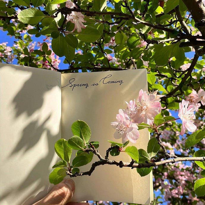 《英雄聯盟》複雜難認好聽的網名推薦