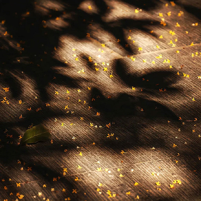 《英雄聯盟》好聽且溫柔的網名大全