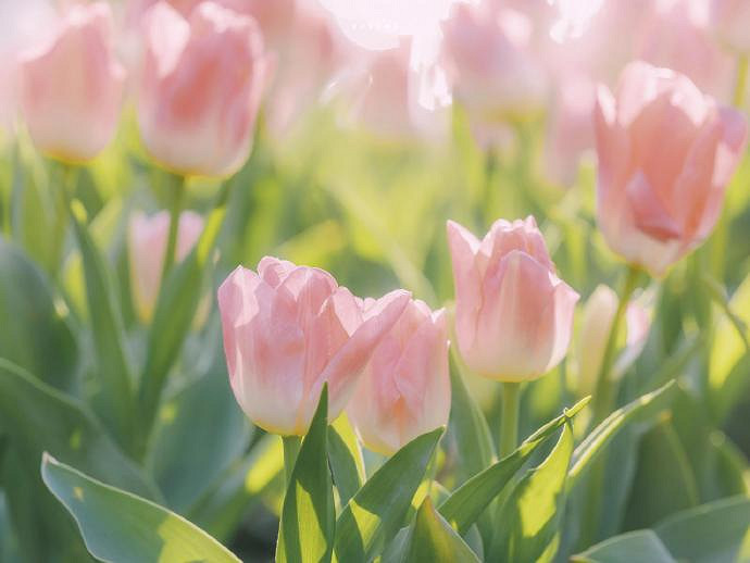 《英雄聯盟》一聽就是美女的網名一覽