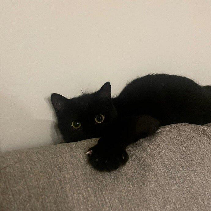 《英雄聯盟》隨意慵懶的網名大全