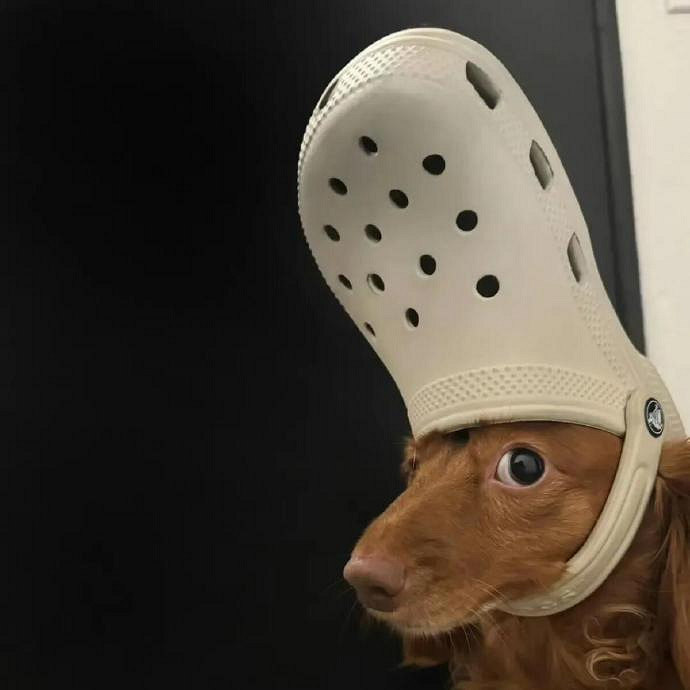 《英雄聯盟》暱稱女生簡短好聽可愛分享 《英雄聯盟》暱稱女生簡短好聽可愛分享