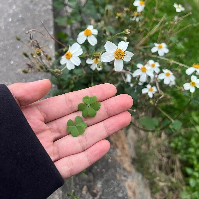 《英雄聯盟》id乾淨高冷男生推薦