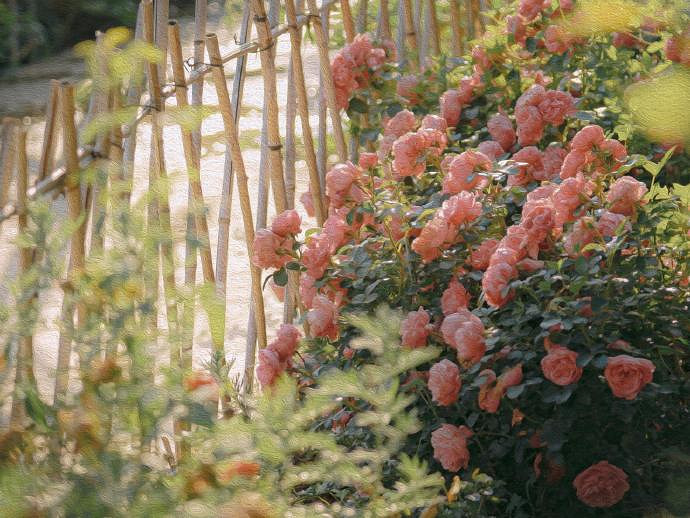 《英雄聯盟》一聽就是美女的網名一覽