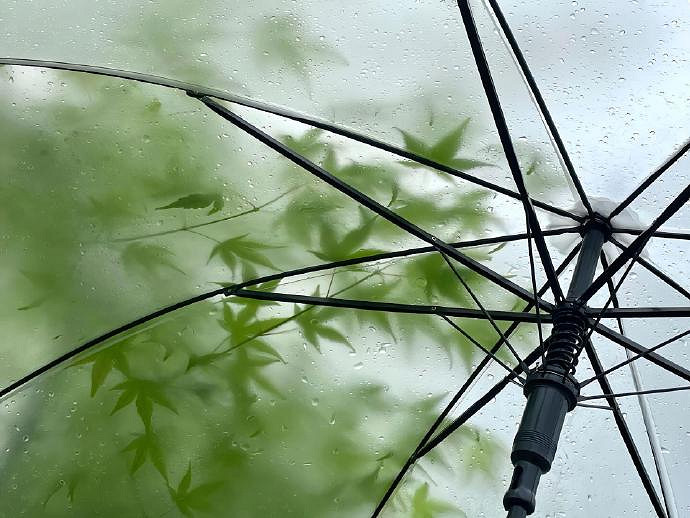 《英雄聯盟》女生ID超可愛介紹