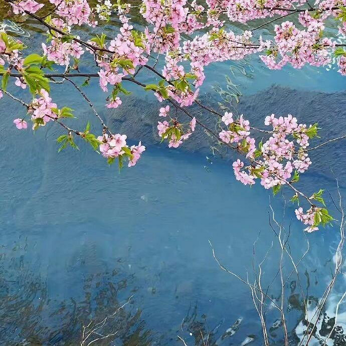 《英雄聯盟》冷門生僻字ID一覽