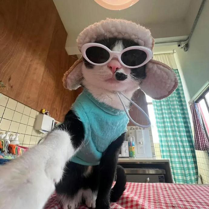 《英雄聯盟》暱稱女生簡短好聽可愛分享 《英雄聯盟》暱稱女生簡短好聽可愛分享