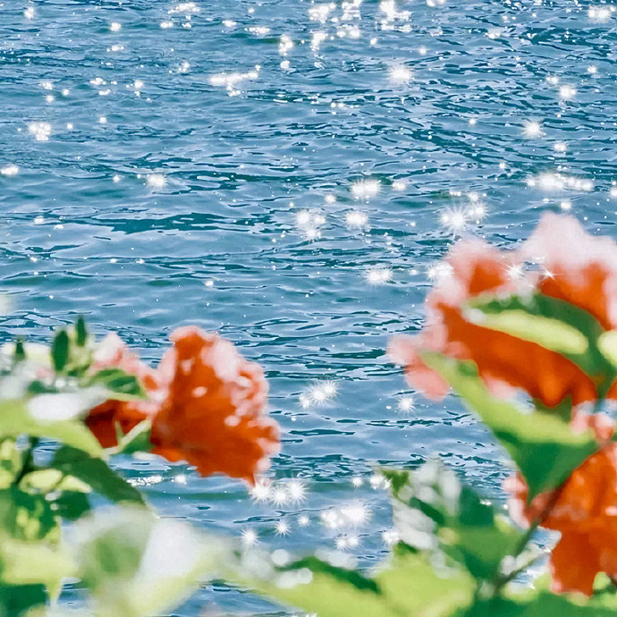 《英雄聯盟》高級感ID男生分享