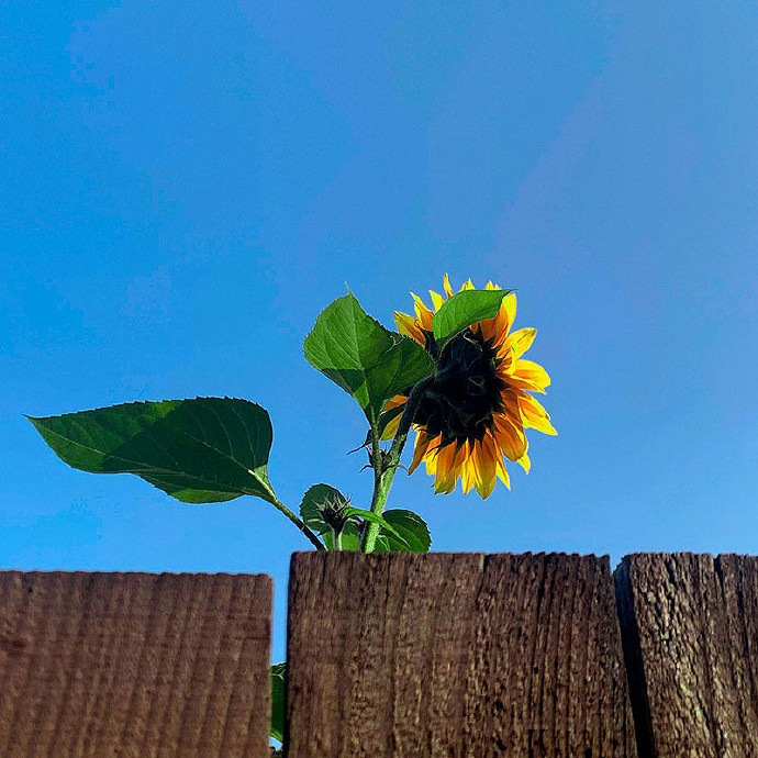 《英雄聯盟》有情懷浪漫的網名匯總 《英雄聯盟》有情懷浪漫的網名匯總