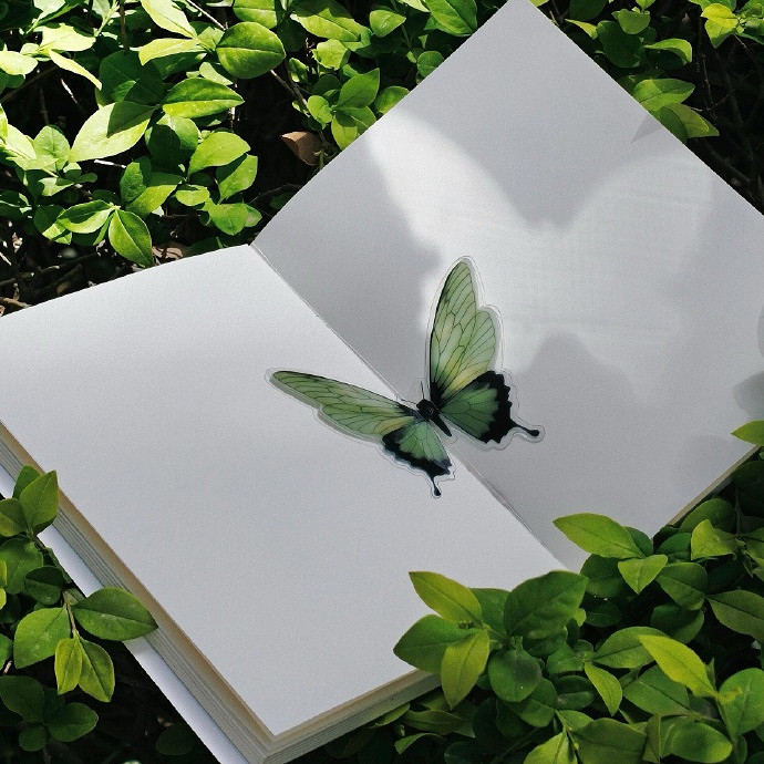 《英雄聯盟》稀少好聽溫柔的ID大全