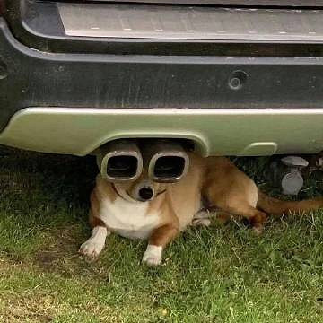 《英雄聯盟》適合青少年的網名一覽