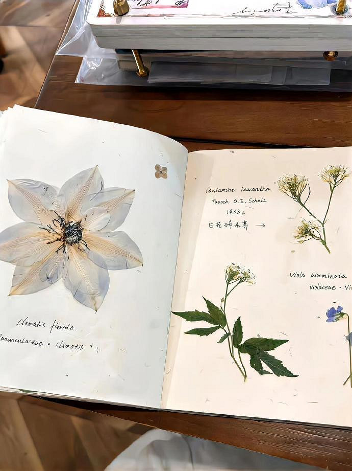 《英雄聯盟》冷門生僻字ID一覽