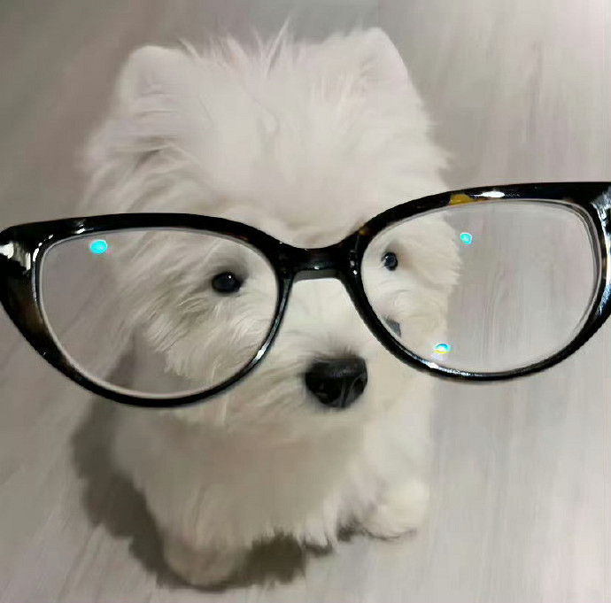 《英雄聯盟》女生拽到爆的名字推薦