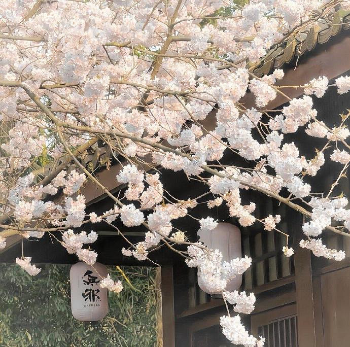 《英雄聯盟》隨意慵懶的網名大全