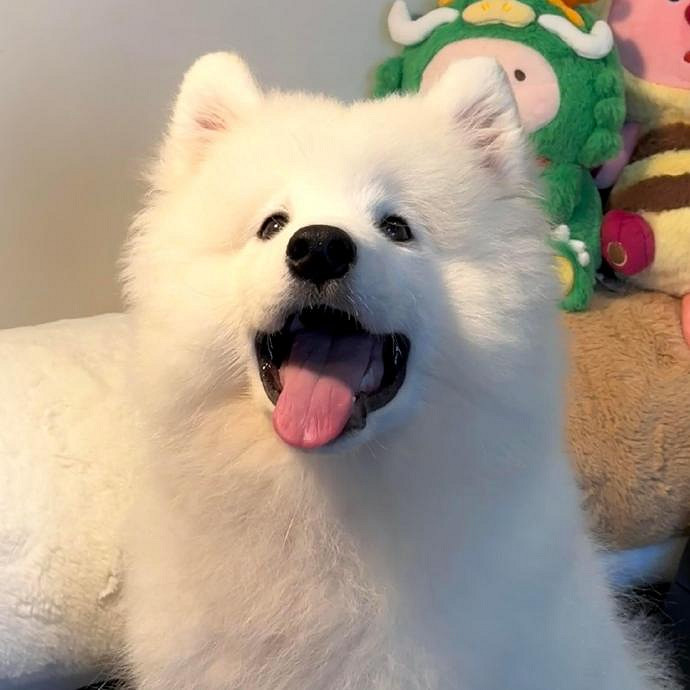 《英雄聯盟》皮一點又蠻可愛的女生網名分享