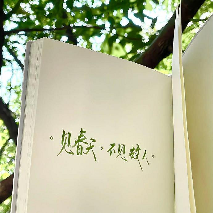 《英雄聯盟》有青春氣息的網名大全