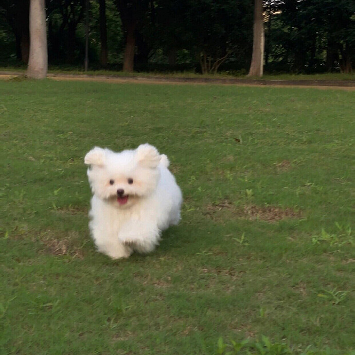 《英雄聯盟》有情懷浪漫的網名匯總 《英雄聯盟》有情懷浪漫的網名匯總