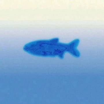 《英雄聯盟》少年意氣風發的網名分享 《英雄聯盟》少年意氣風發的網名分享