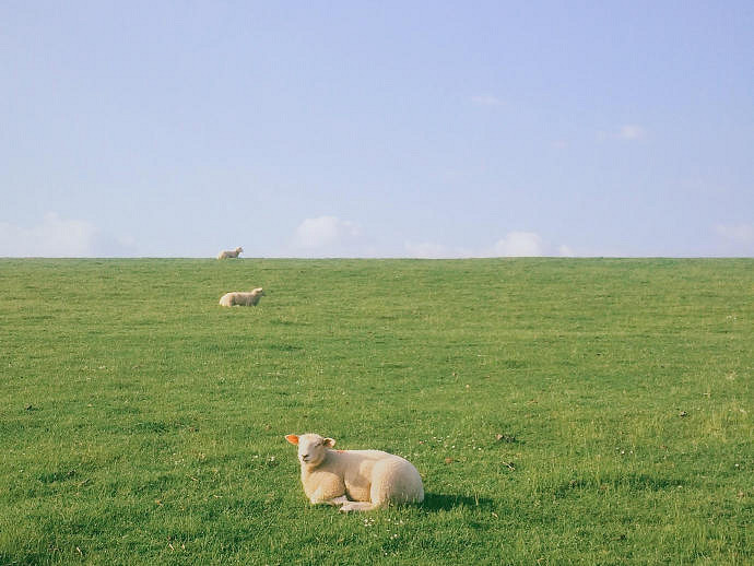 《英雄聯盟》一聽就是美女的網名一覽