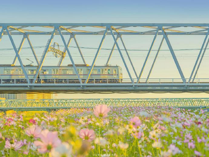 《英雄聯盟》一聽就是美女的網名一覽