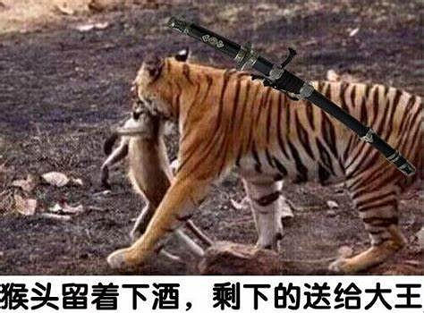 80美元，當玩家怨種？你會超出預算購買喜歡的遊戲嗎？