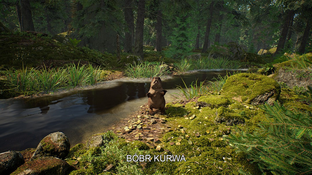 採蘑菇模擬遊戲《蘑菇獵人模擬器》上架Steam Q3發售