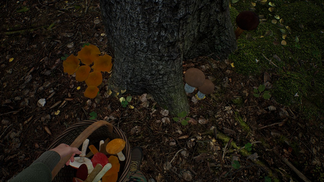 採蘑菇模擬遊戲《蘑菇獵人模擬器》上架Steam Q3發售