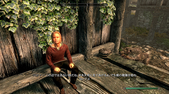 《上古5》玩家屠村後良心發現 詢問如何孤兒找到新父母