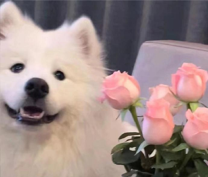 《英雄聯盟》2025暱稱女生招財大全 《英雄聯盟》2025暱稱女生招財大全