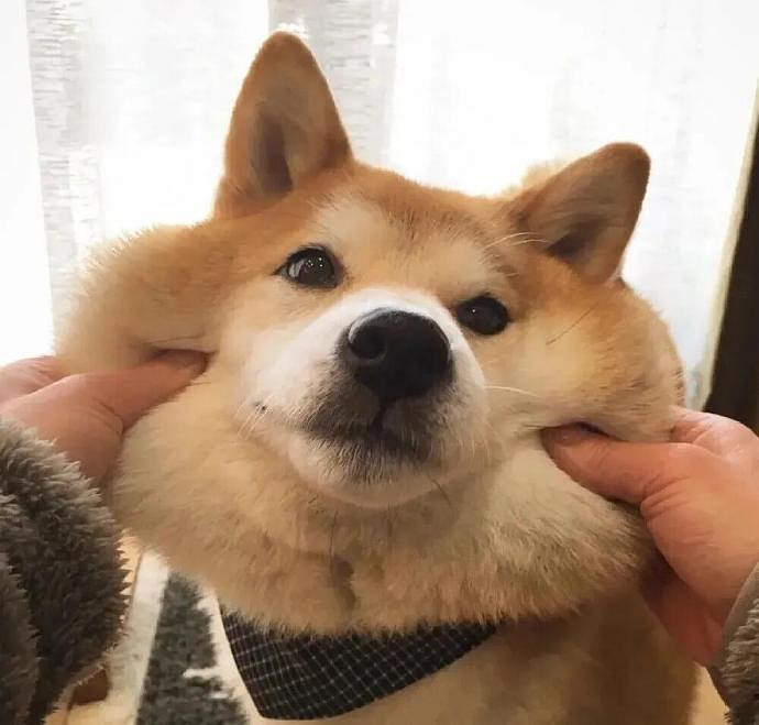 《英雄聯盟》2025暱稱女生招財大全 《英雄聯盟》2025暱稱女生招財大全