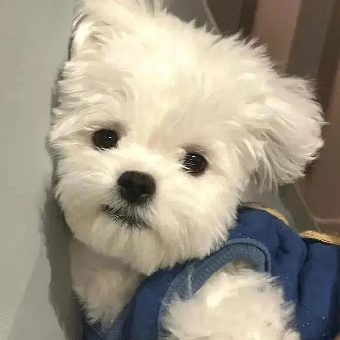 《英雄聯盟》2025暱稱女生招財大全 《英雄聯盟》2025暱稱女生招財大全