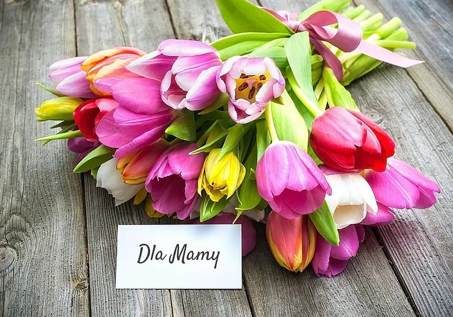 《巫師3》賀波蘭母親節:希裡&葉奈法 超越血緣的羈絆 《巫師3》賀波蘭母親節:希裡&葉奈法 超越血緣的羈絆