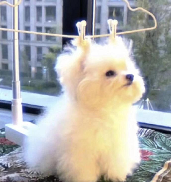 《英雄聯盟》2025暱稱女生招財大全 《英雄聯盟》2025暱稱女生招財大全