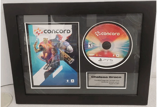 玩家淘到寶了！《星鳴特攻》開發者周邊驚現二手店