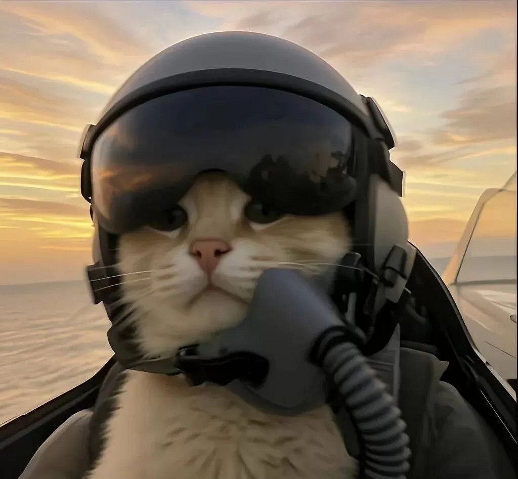 說實話！最近網路爆火醜貓表情包、頭像人人都在頑梗！