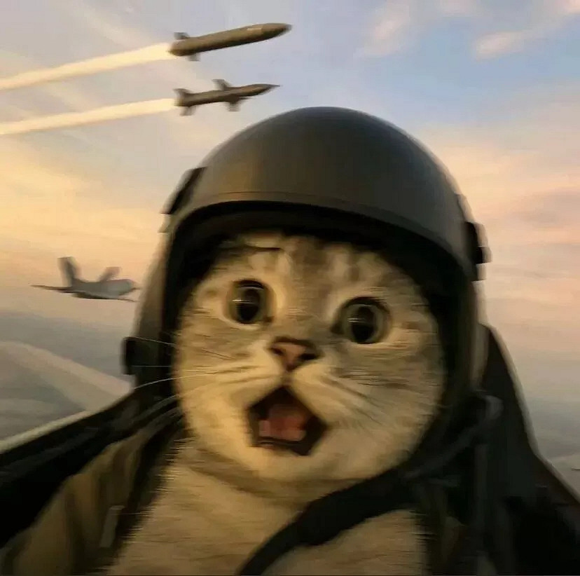 說實話！最近網路爆火醜貓表情包、頭像人人都在頑梗！