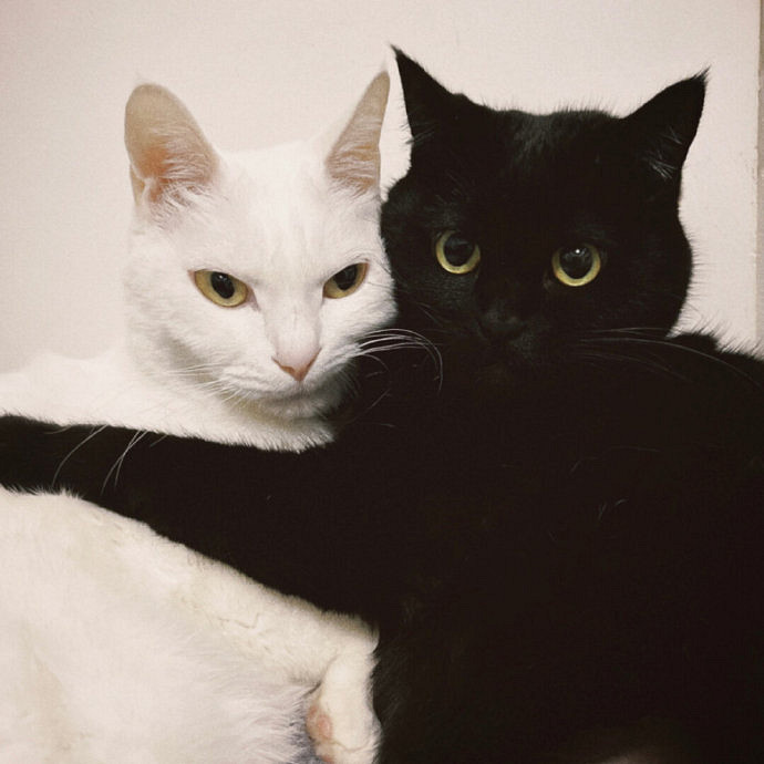 《英雄聯盟》兩字極品id高冷大全