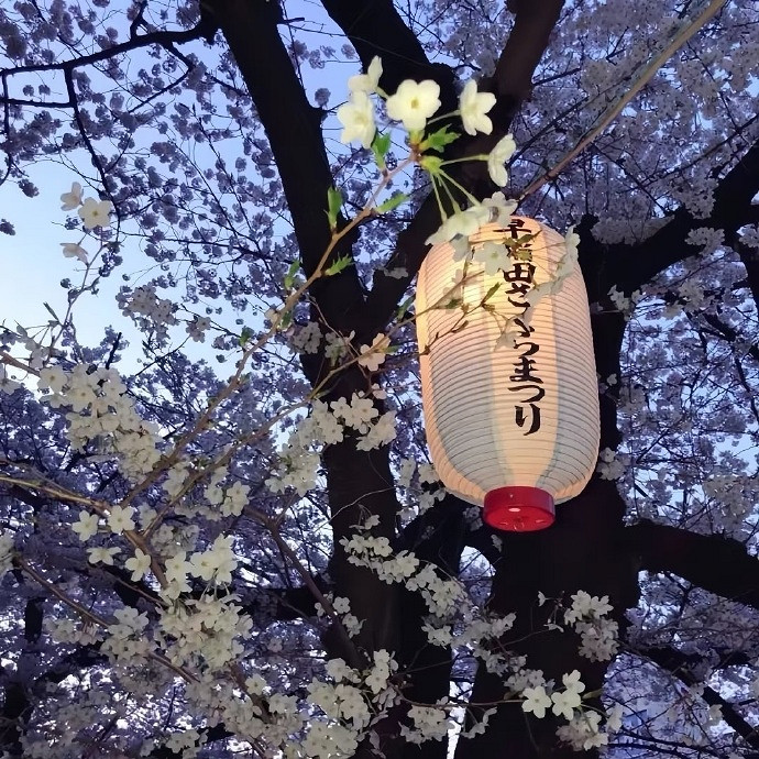 《英雄聯盟》格局打開網名介紹