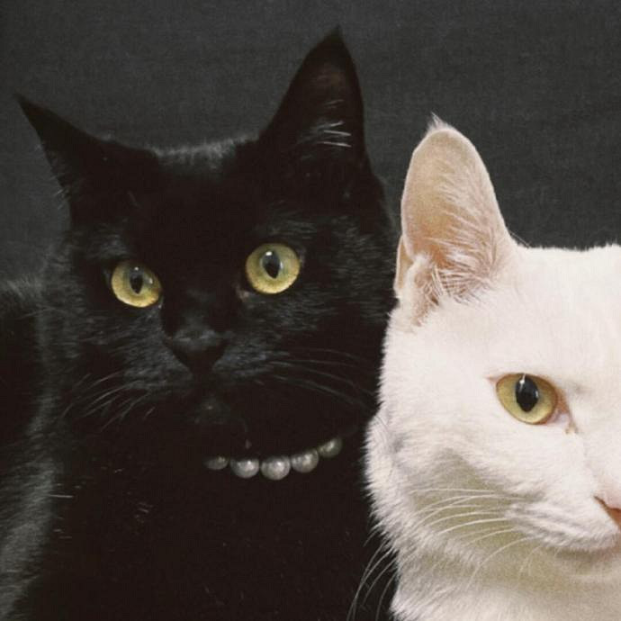 《英雄聯盟》兩字極品id高冷大全