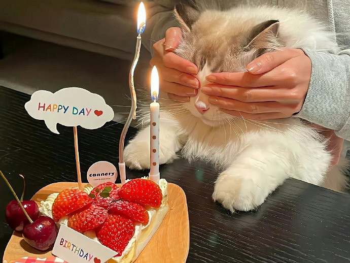 《英雄聯盟》充滿自信的暱稱一覽