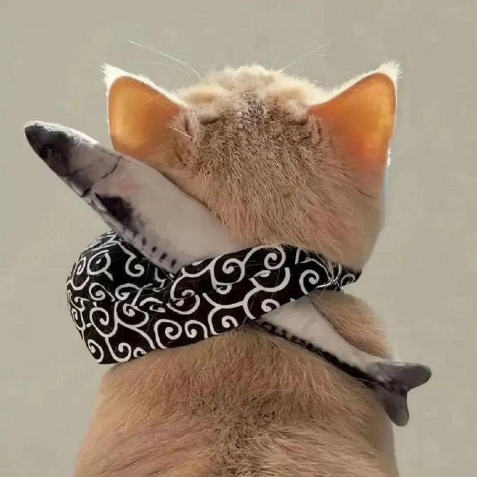 《英雄聯盟》冷酷狠心的網名大全