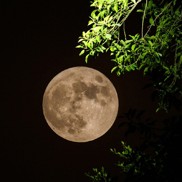 《英雄聯盟》仙氣飄飄又可愛的網名一覽