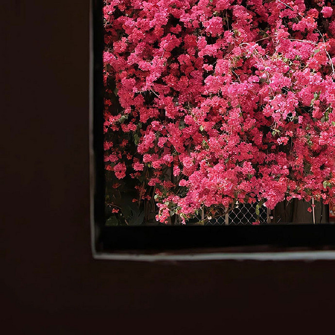 《英雄聯盟》很A很高級的網名分享