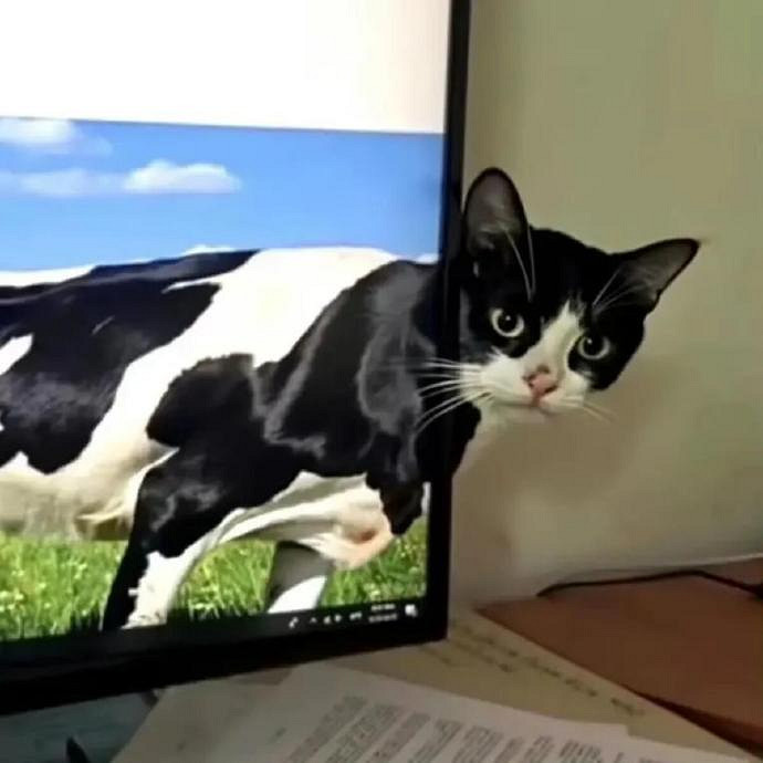 《英雄聯盟》冷酷狠心的網名大全