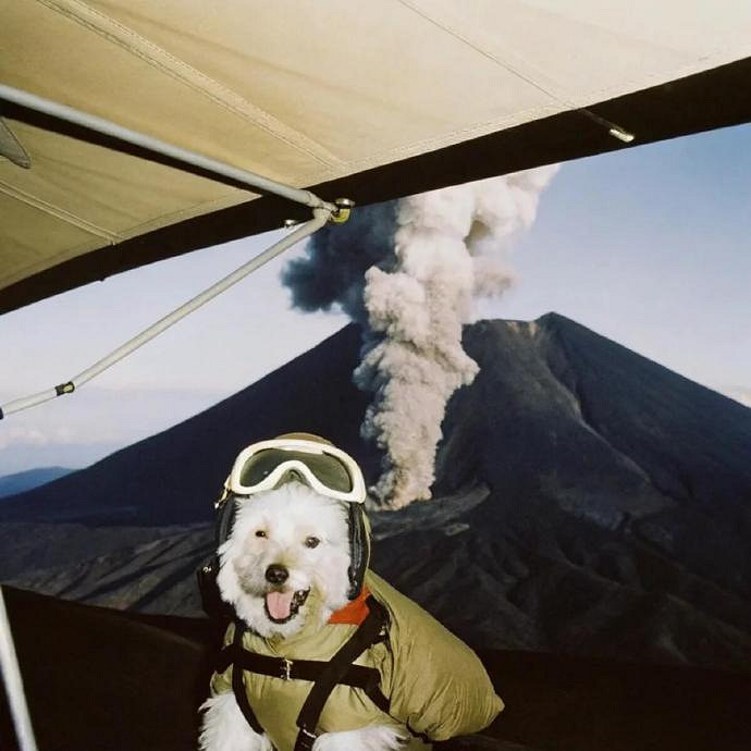 《英雄聯盟》冷酷狠心的網名大全