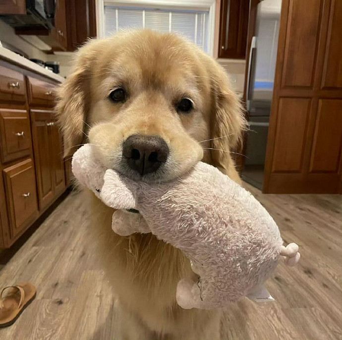 《英雄聯盟》70後乾淨氣質名字介紹