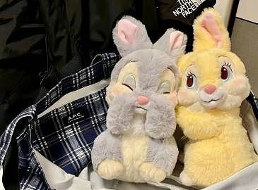 《英雄聯盟》女生網名溫柔仙氣介紹