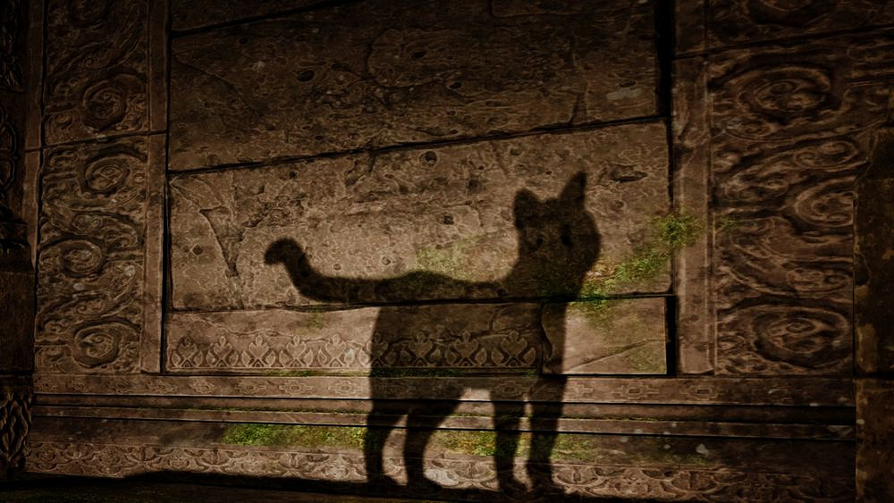 《與貓同行》宣布配合Steam新品節推出期間限定試玩版 《與貓同行》宣布配合Steam新品節推出期間限定試玩版