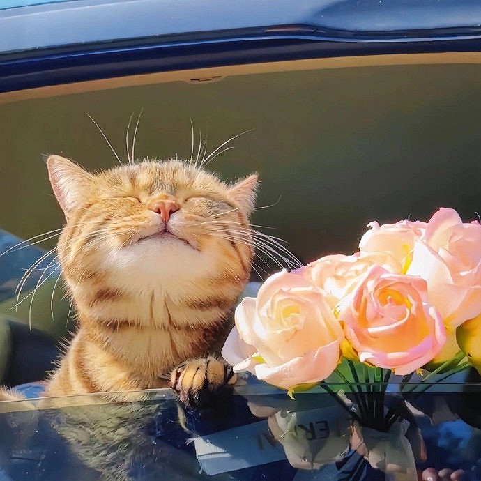 《英雄聯盟》男生id小眾且高級介紹