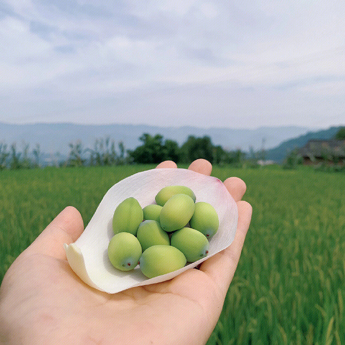 《英雄聯盟》小仙女專屬暱稱推薦