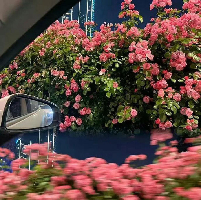 《英雄聯盟》高級emo傷感ID男介紹